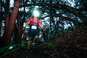 BIB: 
                            <button type="button" onclick="openModal(26342452)" class="btn btn-primary btn-sm float-right btn-popup" data-toggle="modal" data-target=".modal-high-quality">
                        <i class="fas fa-shopping-cart"></i> Add to Cart
                    </button>
                                            <button type="button" onclick="isThisMe(26342452, true)" class="btn btn-success btn-sm float-right btn-popup btn-isme hidden" data-toggle="tooltip" data-placement="bottom" title="นี่คือรูปของคุณใช่ไหม คลิกที่นี่เพื่อเอาเข้าอัลบั้ม">
                        <i class="fas fa-plus"></i> Add to album
                    </button>
                    <button type="button" onclick="isThisMe(26342452, false)" class="btn btn-warning btn-sm float-right btn-popup btn-isnotme hidden">
                        <i class="fas fa-ban"></i> Remove from album
                    </button>